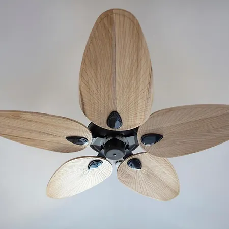 Ada Dreams Apartman *